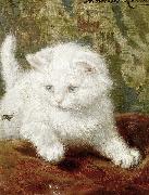 Henriette Ronner-Knip Signed Henriette Ronner oil painting artist